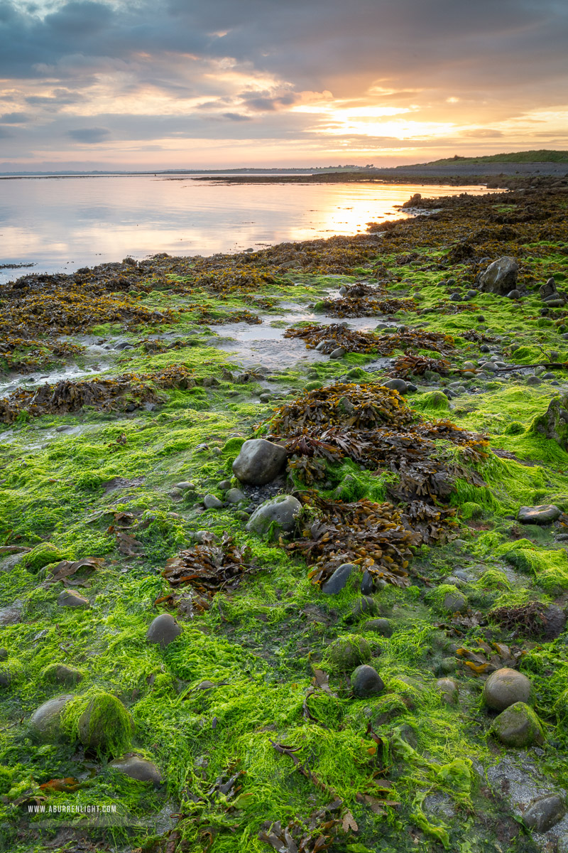 The Doorus peninsula Kinvara Clare Ireland - algae,doorus,september,summer,sunrise,coast,green,golden