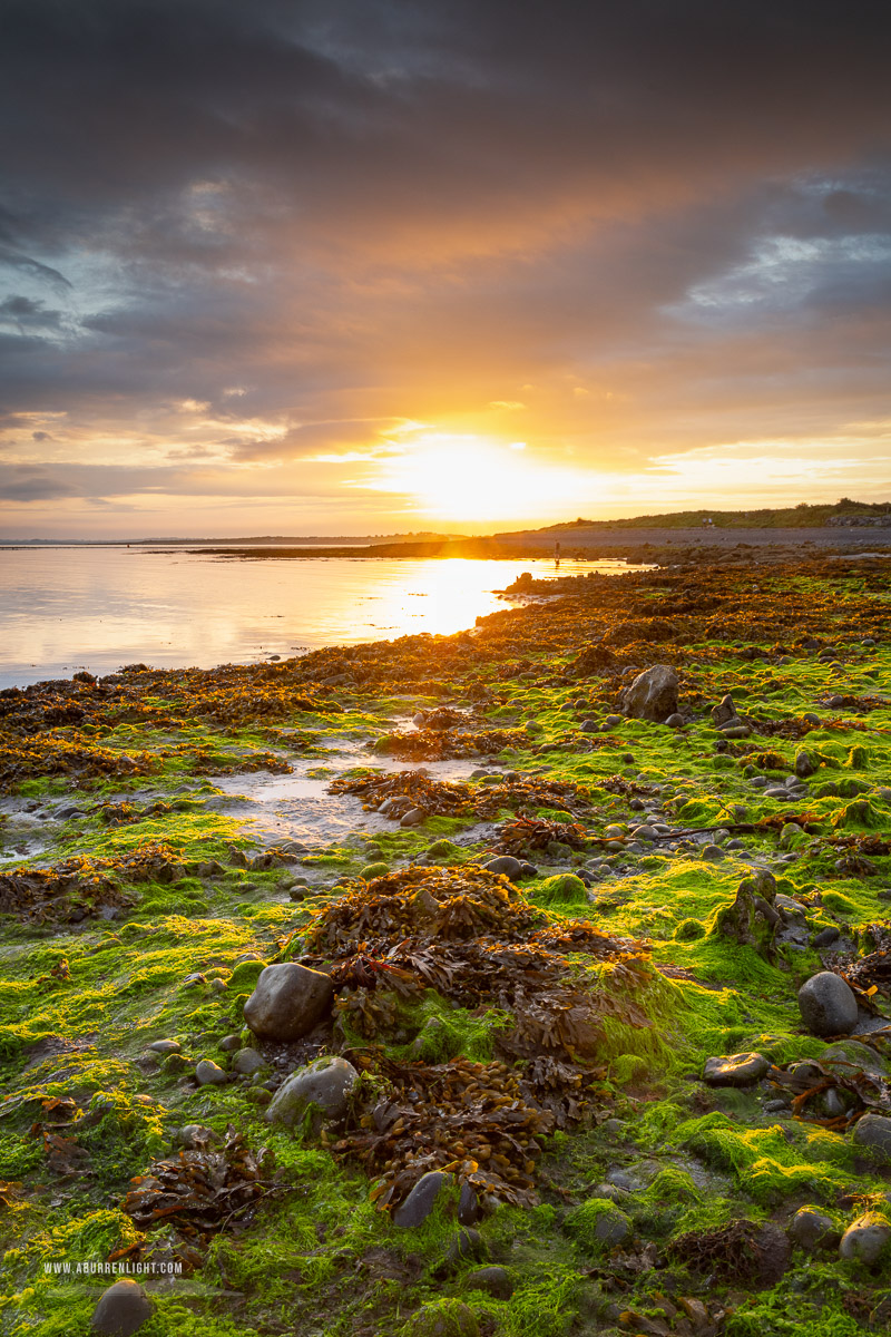 The Doorus peninsula Kinvara Clare Ireland - algae,doorus,september,summer,sunrise,coast,green,golden