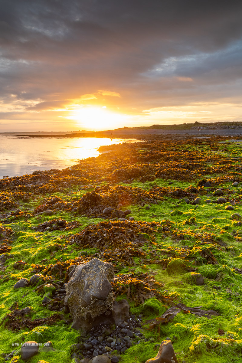 The Doorus peninsula Kinvara Clare Ireland - algae,doorus,september,summer,sunrise,coast,green,golden