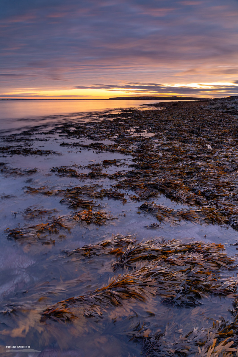 The Flaggy Shore Kinvara Wild Atlantic Way Clare Ireland - autumn,flaggy shore,long exposure,october,twilight,coast