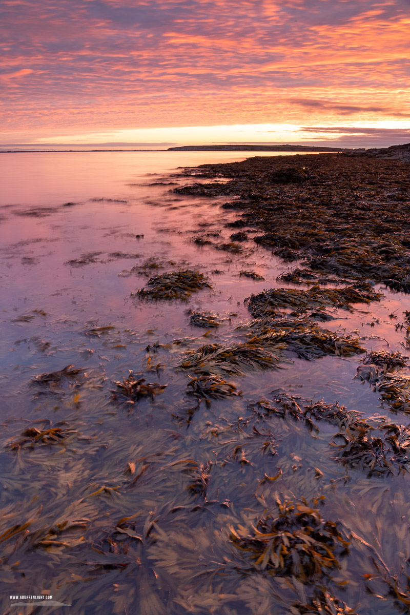 The Flaggy Shore Kinvara Wild Atlantic Way Clare Ireland - autumn,flaggy shore,long exposure,october,red,sunrise,coast