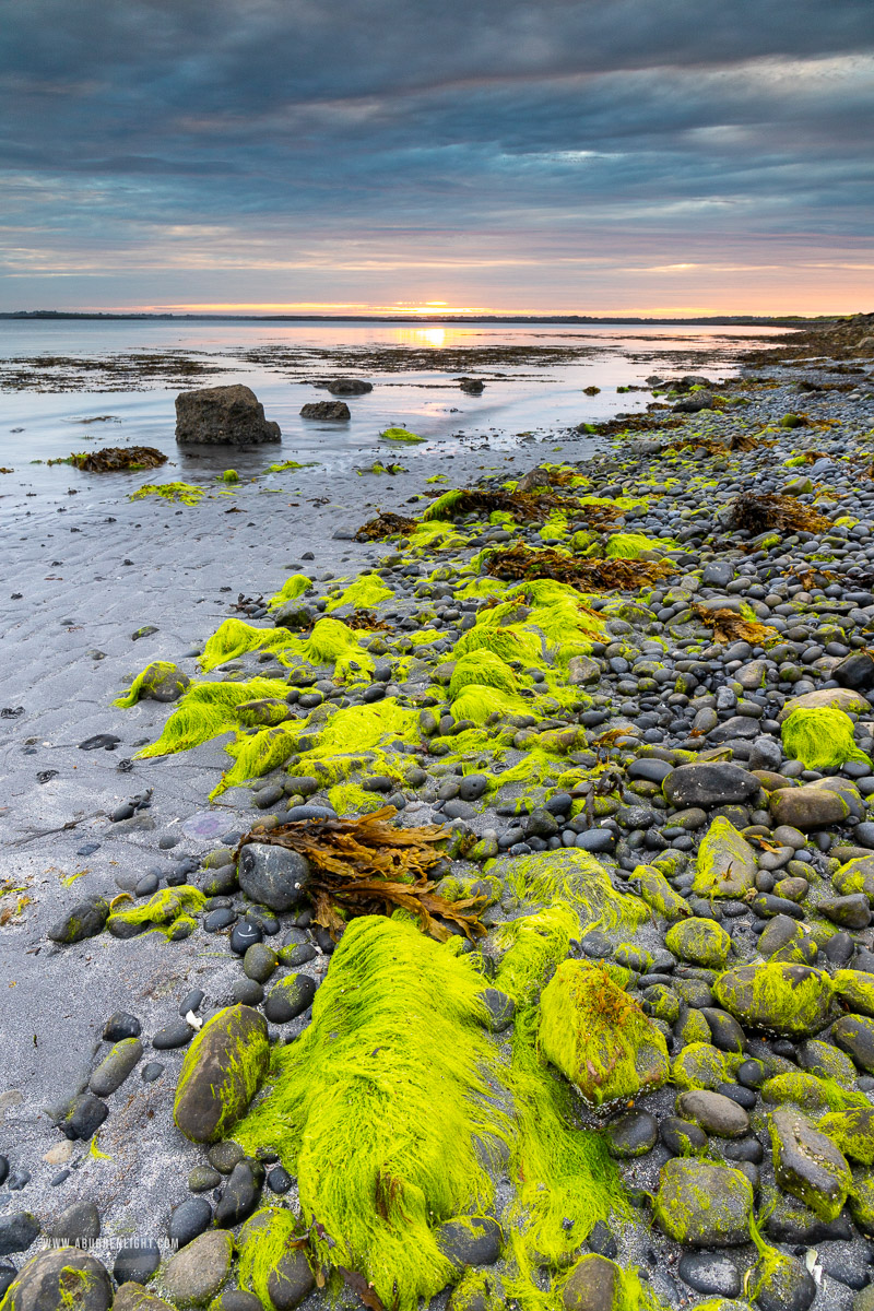 Traught Beach Kinvara Wild Atlantic Way Clare Ireland - green algae,june,kinvara,spring,sunrise,traught,blue,coast