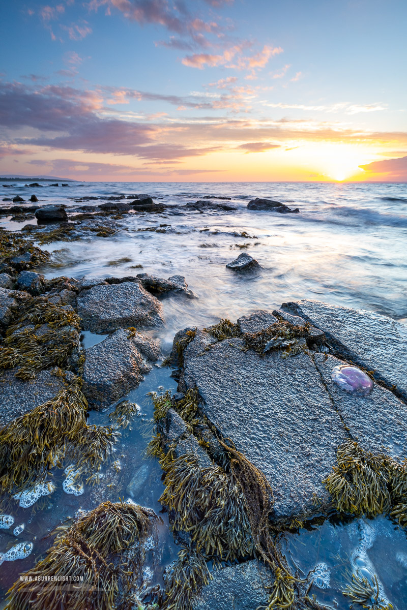 Traught Beach Kinvara Wild Atlantic Way Clare Ireland - coast,golden,jellyfish,june,spring,sunset,traught