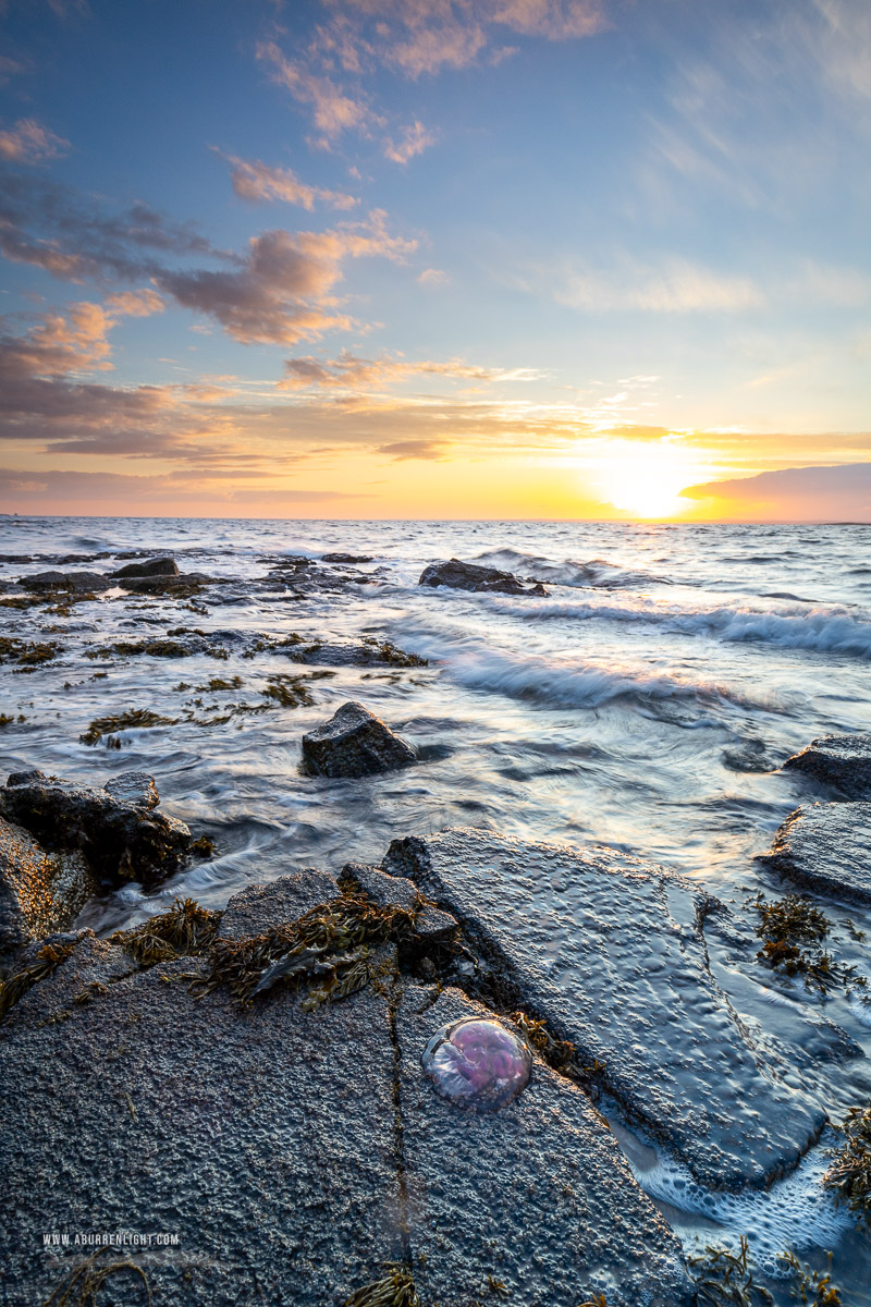 Traught Beach Kinvara Wild Atlantic Way Clare Ireland - coast,golden,jellyfish,june,spring,sunset,traught