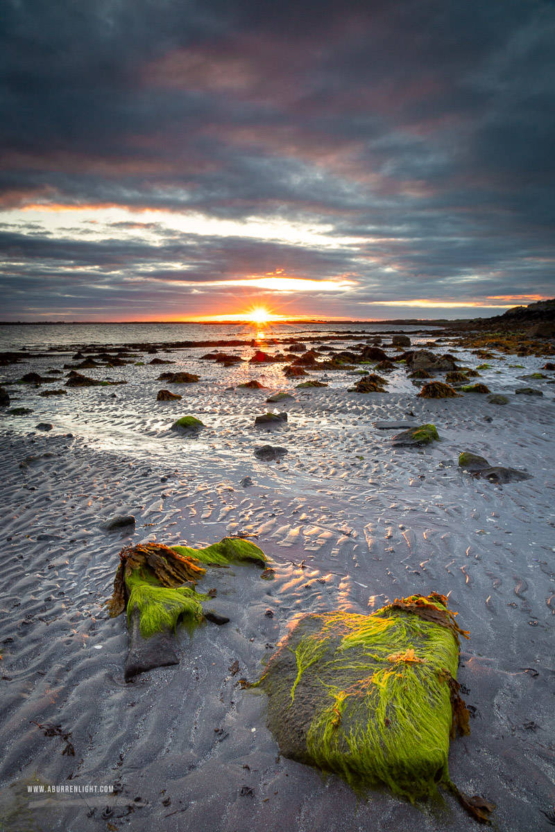 Traught Beach Kinvara Wild Atlantic Way Clare Ireland - algae,may,spring,sunrise,sunstar,traught,coast