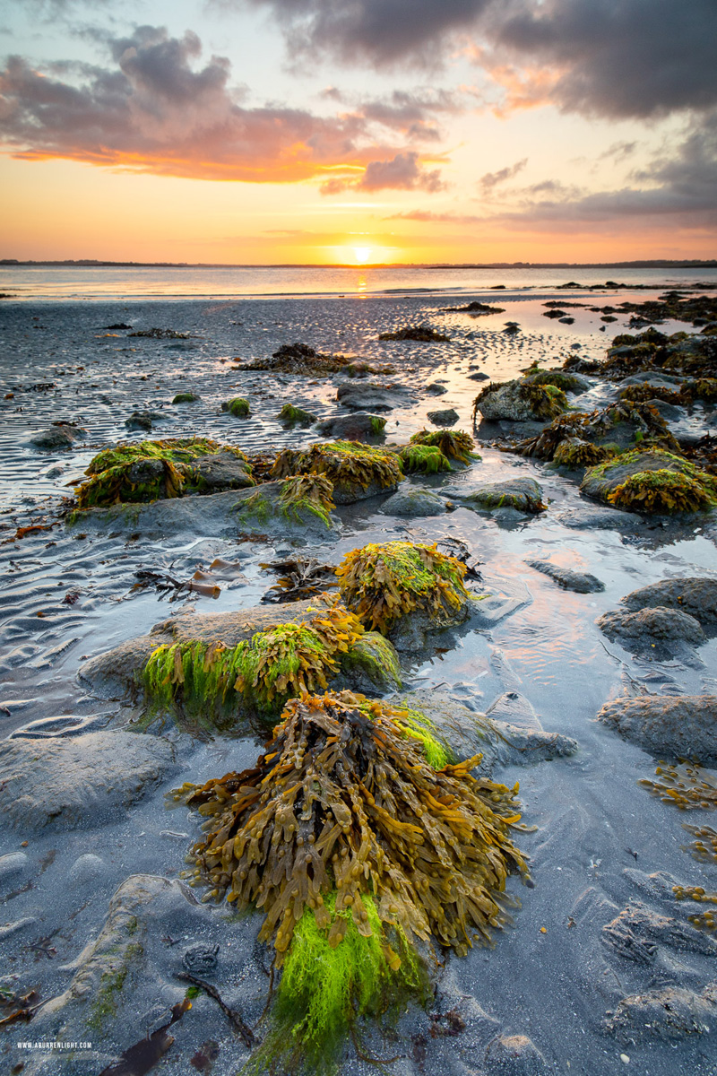 Traught Beach Kinvara Wild Atlantic Way Clare Ireland - green algae,june,kinvara,spring,sunrise,traught,golden,beach,coast