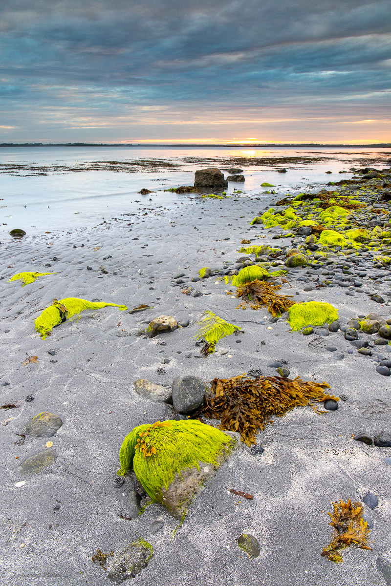 Traught Beach Kinvara Wild Atlantic Way Clare Ireland - green algae,june,kinvara,spring,sunrise,traught,coast,beach