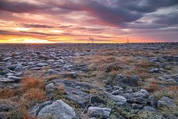 autumn,lone tree,lowlands,november,pick-lowland,twilight