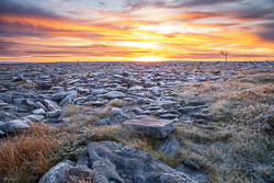 autumn,lone tree,lowlands,november,pick-lowland,sunrise