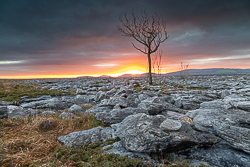 january,lone tree,lowlands,sunset,winter