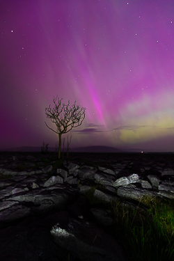 aurora,lone tree,long exposure,lowland,may,night,pilars,purple,spring,portfolio