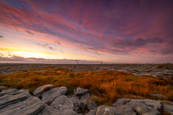 autumn,lone tree,lowland,october,pink,twilight