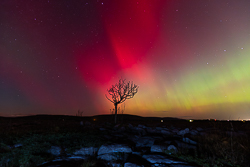 astro,aurora,autumn,lone tree,lowland,night,october,pilars,portfolio
