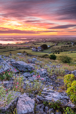 abbey hill,august,flower,summer,twilight,hills,dreamy,orange,magenta,mauve