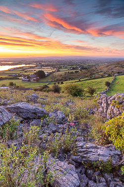 abbey hill,august,pink,rural,summer,sunrise,wall,portfolio,hills,golden