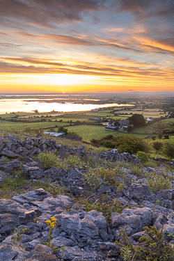 abbey hill,august,golden,rural,summer,sunrise,hills,golden