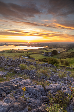 abbey hill,august,golden,rural,summer,sunrise,golden,hills