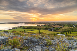 abbey hill,august,golden,hills,long exposure,orange,summer,sunrise,valerian