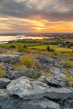 abbey hill,august,golden,hills,long exposure,orange,summer,sunrise,valerian