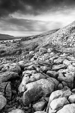 abbey hill,autumn,monochrome,hills,november