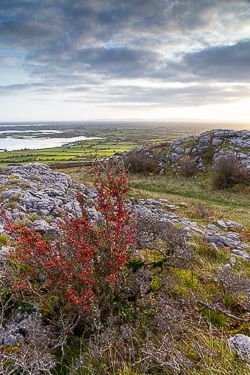 abbey hill,autumn,november,sunrise,hills