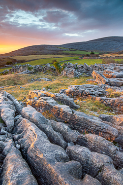 abbey hill,february,limited,sunrise,winter,portfolio,golden,hills,oughtmama