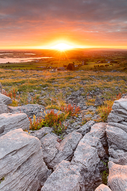 abbey hill,orange,september,summer,sunrise,sunstar,golden,hills