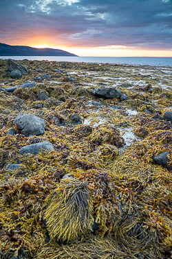 ballyvaughan,bishops quarter,september,summer,sunset,sunstar,coast