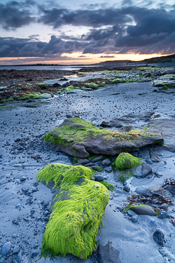 bishops quarter,blue hour,green algae,long exposure,may,spring,twilight,beach,coast