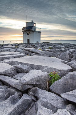 black head,flowers,june,landmark,lighthouse,spring,sunset,portfolio,coast