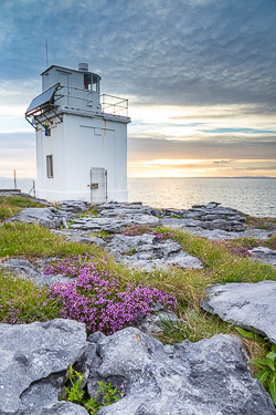 black head,flowers,june,landmark,lighthouse,spring,sunset,coast