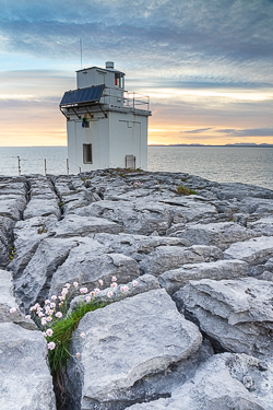 black head,flowers,june,landmark,lighthouse,spring,sunset,coast