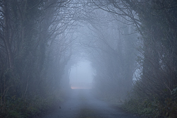 autumn,boston,fog,lowland,mist,november