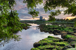 august,castle,dunguaire,kinvara,landmark,summer,sunrise,green,coast