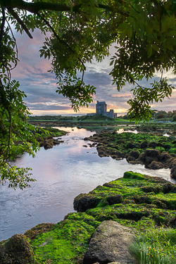 august,castle,dunguaire,kinvara,landmark,summer,sunrise,green,coast