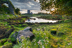 august,castle,dunguaire,flowers,kinvara,landmark,summer,sunrise,portfolio,coast