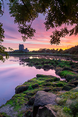 autumn,birch,castle,dunguaire,kinvara,long exposure,purple,september,twilight,portfolio,coast