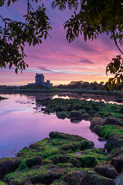 autumn,birch,castle,dunguaire,kinvara,long exposure,purple,september,twilight,coast