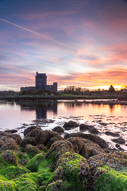 castle,dunguaire,green algae,kinvara,landmark,march,pink,twilight,winter,coast