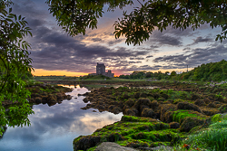 castle,coast,dunguaire,foliage,green algae,june,kinvara,landmark,summer,sunrise,portfolio