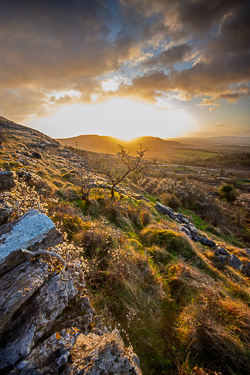april,fahee,golden,hills,limited,pick-hills,portfolio,spring,sunrise,wall