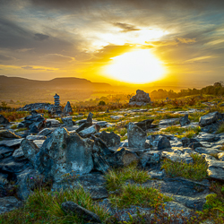autumn,fahee,golden,hills,lone tree,mist,october,portfolio,prayer,square,stone,sunrise