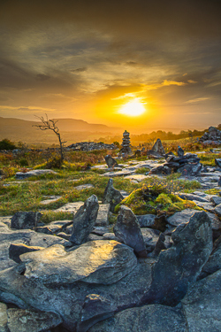 autumn,fahee,golden,hills,limited,lone tree,mist,october,portfolio,prayer,stone,sunrise,portfolio,pick-hills,limited
