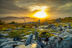 autumn,fahee,golden,hills,limited,lone tree,mist,october,portfolio,prayer,stone,sunrise,portfolio,pick-hills,limited