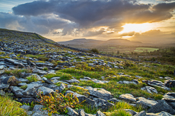 fahee,golden,hills,pick-hills,portfolio,september,summer,sunrise,wall