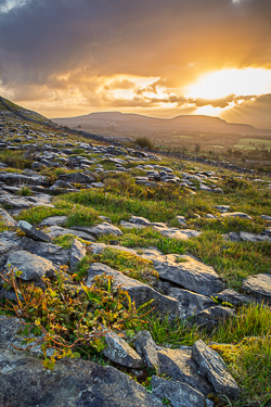 fahee,golden,hills,pick-hills,portfolio,september,summer,sunrise,wall