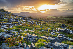 fahee,golden,hills,pick-hills,september,summer,sunrise,wall