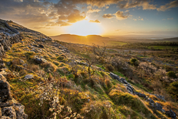 april,fahee,golden,hills,pick-hills,portfolio,spring,sunrise,wall