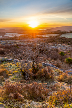 fahee,february,frost,golden hour,lone tree,purple,sunrise,sunstar,wall,winter,hills