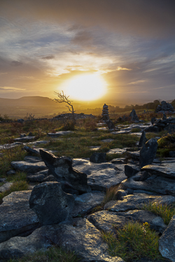 autumn,fahee,golden,hills,lone tree,mist,october,prayer,stone,sunrise